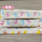 マスク☆ハンドメイド・アヒル／カラフル