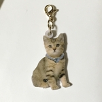 〈再販〉マスク・ファスナーチャーム　猫ちゃん