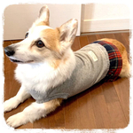 【セミオーダー】(再販5)犬服 グレイスウェット＆タータンチェック柄