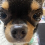 miyu様専用ページ