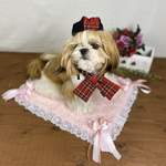 犬用カフェマット　
