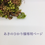 あきのりかり様専用ページ