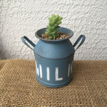 新色リメ缶(MILKジーンズブルー)多肉♫植物♫オーダー受付中