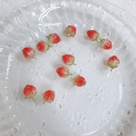  ♡#24(2pcs)【再販...】＊いちごのような 小さいパーツ＊レッド