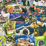 (再販×3)ニャンコの紙モノセット＊コラージュ素材＊コラージュペーパー＊ジャンクジャーナル