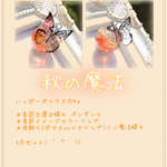ハッピーボックス✩.*˚ 季節魔法3点セット 秋