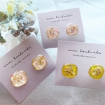 new❤︎ﾜﾝｺｲﾝ！ふんわりカラーの押し花ピアス、イヤリング