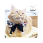 猫用・シュシュ首輪（リバティ生地）