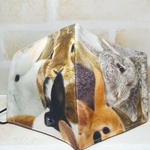 12.ふつうsize布マスク🐰オランダ🇳🇱Cotton🐰