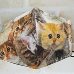 21.ふつうsize布マスク🐱オランダ🇳🇱Cotton