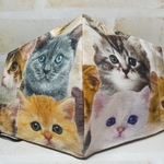 25.ふつうsize布マスク🐱オランダ🇳🇱Cotton