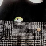 コザクラインコさんを隠して出かけるバルーンバック