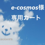 e-cosmos様専用カート