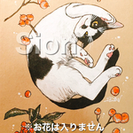 【12/12限定】ペット似顔絵・猫ちゃん〜クリスマススペシャル価格〜