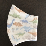🦕恐竜柄🦖　子供立体マスク