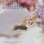 コーギー🐶ワンコの首輪チャーム　犬好きさん🐶