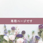☆*:.｡.専用.｡.:*☆