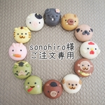 sonohiroさま専用