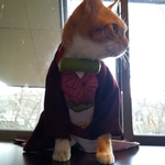 猫のきめつのにゃいば　C
