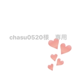 chasu0520様　専用　ワイヤーアート  