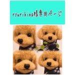 ご注文依頼　ryurihina様専用ページ‼️