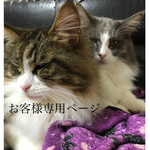 9manya様専用ページ✨
