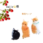 sally⭐️様専用ページ