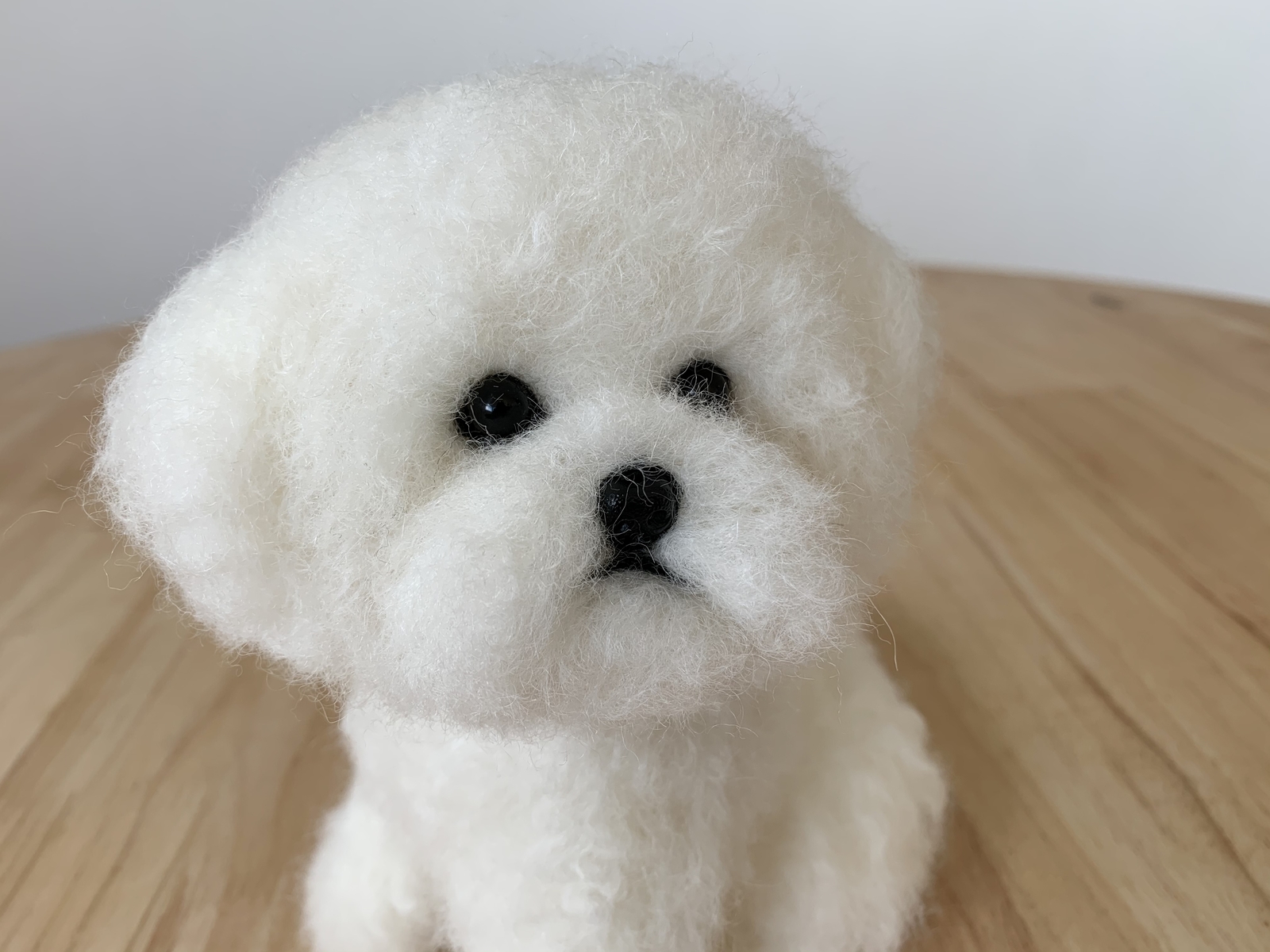 羊毛フェルト ビションフリーゼ 犬 トイプードル アフロ - TOTOKAKA1'S