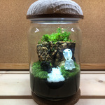 苔テラリウム ハンドメイド LEDライト付き！