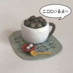 アメフクラガエル育成キット コーヒーバージョン