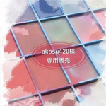 akosu420様専用