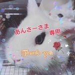あんさーさま専用。 