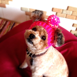 犬用ニット帽 M ピンク