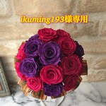 ikuming193様専用