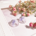 シネラリアピアス