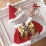🎄 サンタさんセット🎄