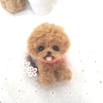 【送料無料】羊毛フェルト　トイプードル♡