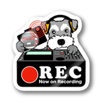 ミニチュアシュナウザー-2 犬 ドラレコステッカー