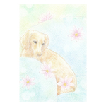 ＊皇帝ダリアとミニチュアダックス＊　選べるイラストポストカード2枚組セット　No.7