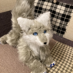 青煌めく銀狐さん