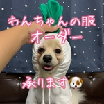 犬服(オーダーメイド)