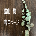 猫也様　専用ページ