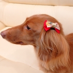 犬用リボンミニ　和風2個セット赤