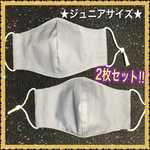 ★フィルターポケット付き＆上下無し★ 2枚セット!!  ジュニアサイズの立体マスク