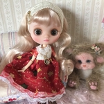ミディブライス サイズアイシードール カスタム　アウトフィット 付き