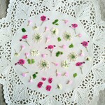 押し花素材　No885　ピンク系小花のセット2