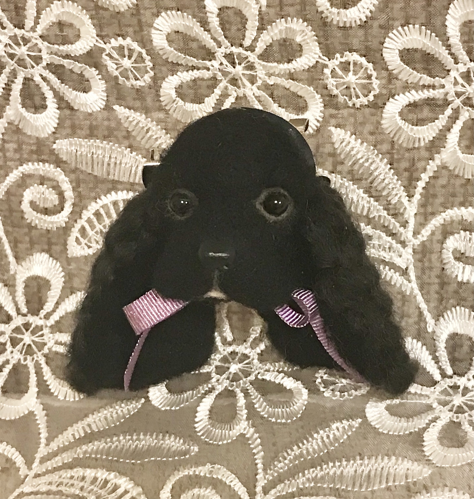羊毛フェルト アメリカンコッカースパニエル ブローチ 犬 