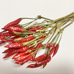 鷹の爪＊ドライ