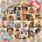 破格！『福袋』販売開始☆彡.。