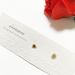 ＊No.197＊ピアス